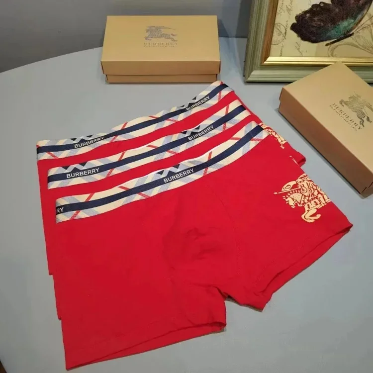 Burberry Warhorse Logo Boxer B