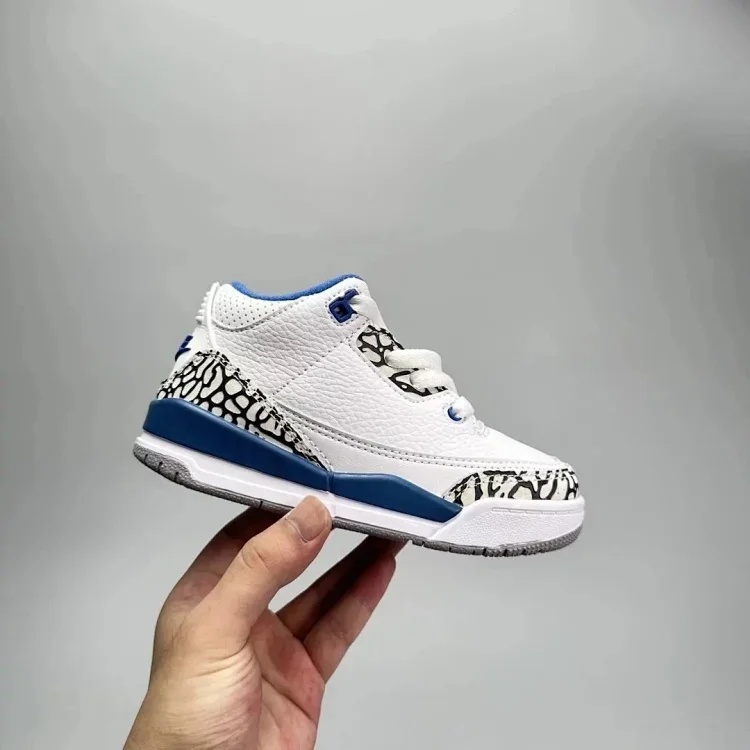 Jordan Air Jordan 3 Retro Chil