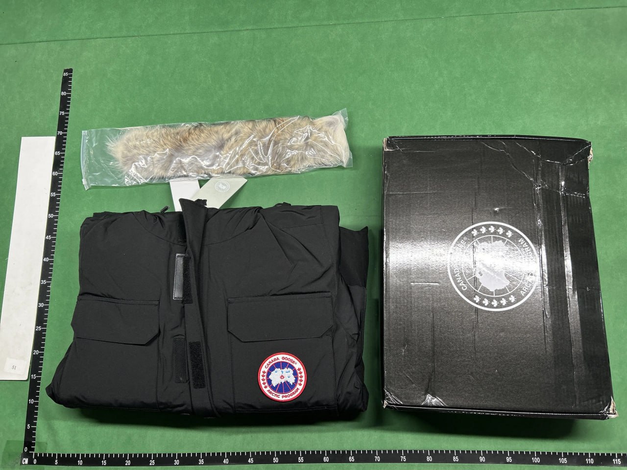 Canada Goose -2
