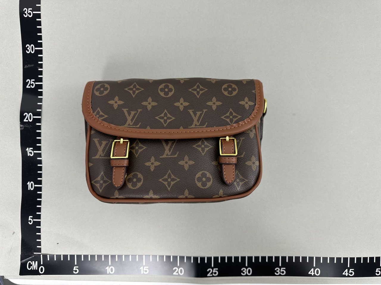 Louis Vuitton Bag -4