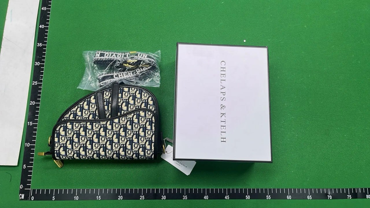 Dior Bag -4