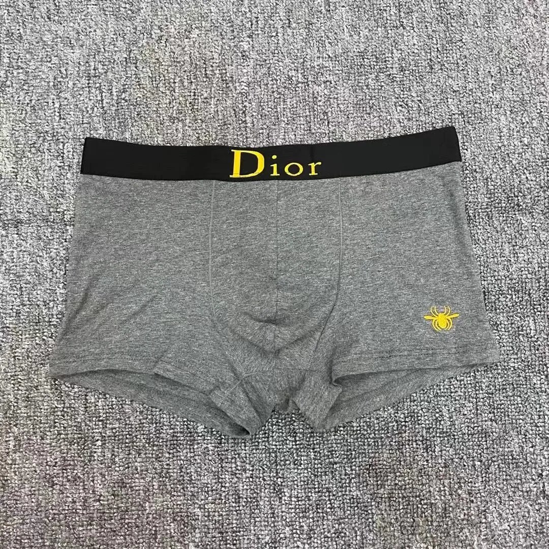 Dior Underwear -2