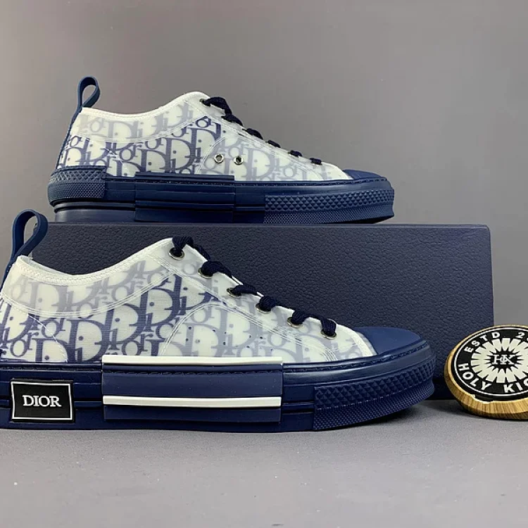  DIOR B23