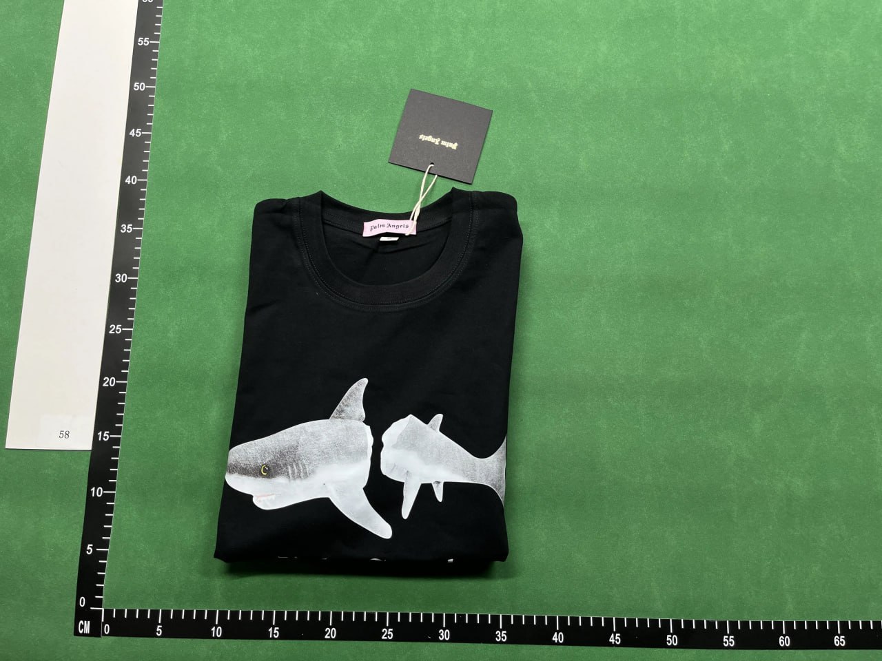  PalmT-shirt -3