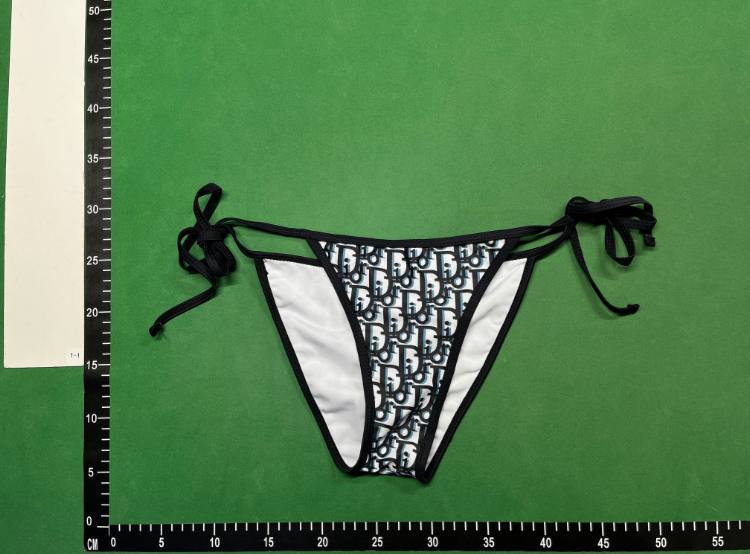 Dior Bikini -3