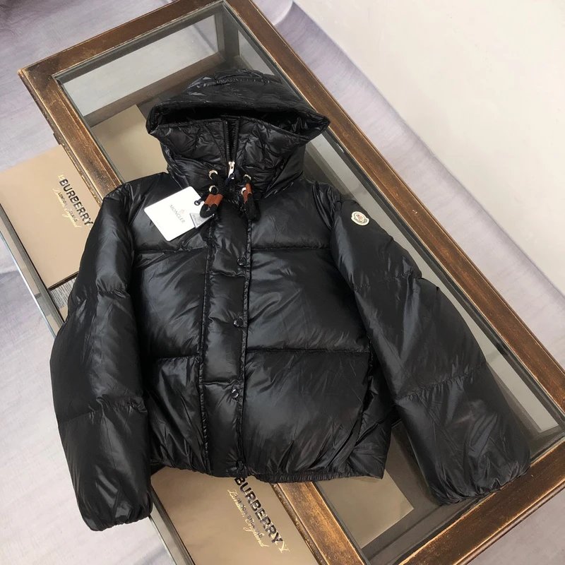 LV Louis Vuitton & Moncler down jacket -4