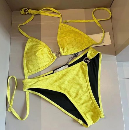 LV   DIOR   fendi   gucci   swimsuit -3