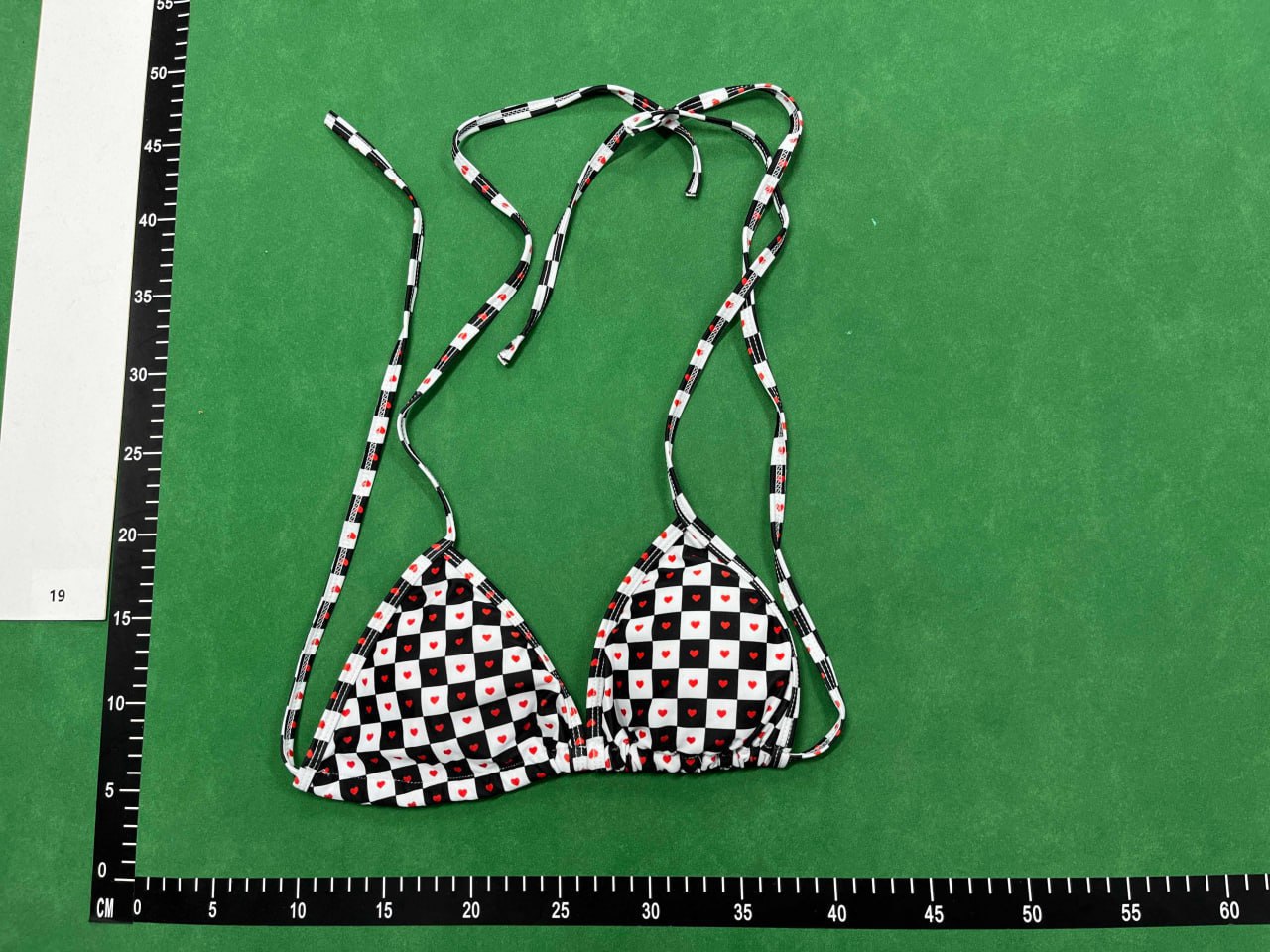 Dior Bikini -3