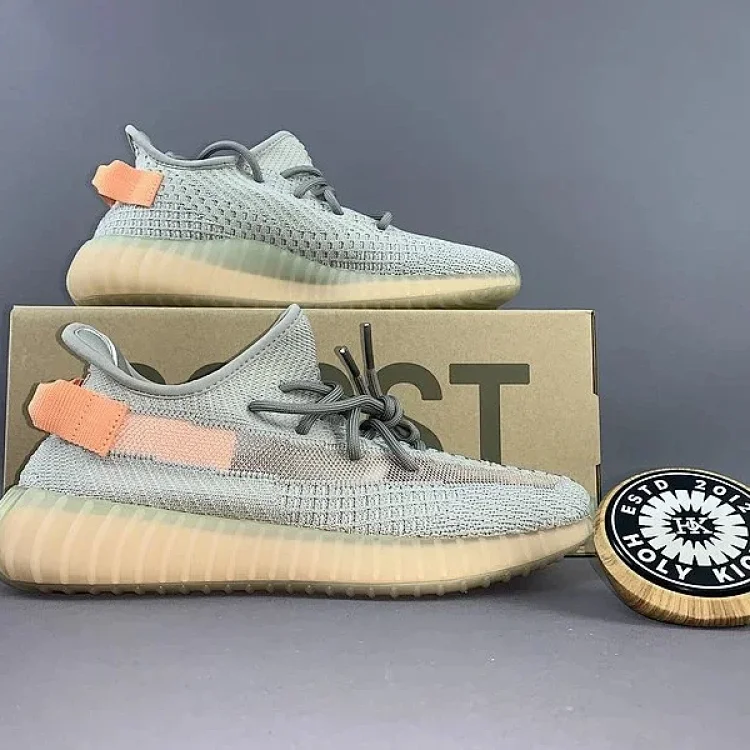 ADIDAS YEEZD 350