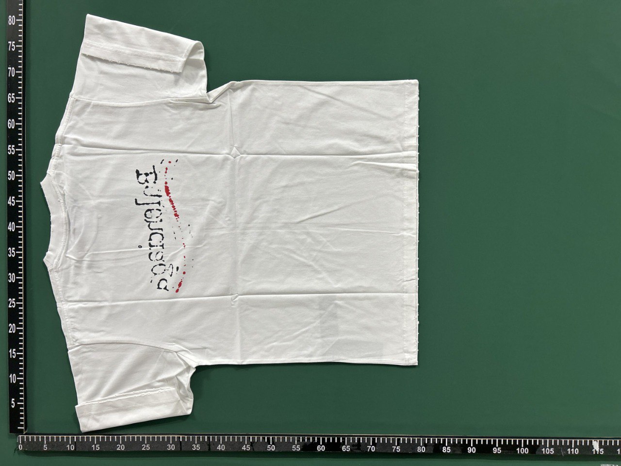 Balenciaga tee(+Styles) -3